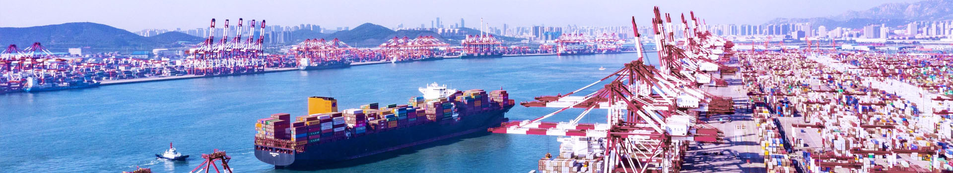 起重吊裝鉗規(guī)格型號(hào)_常見問題_起重鉗,鋼板起重鉗,吊裝鉗,鋼板鉗,起重吊裝鉗-辰力集團(tuán)有限公司